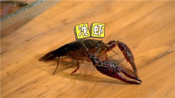 《吃光全宇宙》大谈卓伟 范湉湉自爆曾患忧郁症