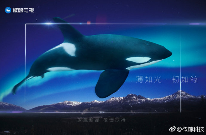 为新一代生而不同 微鲸电视新品将亮相2017AWE展