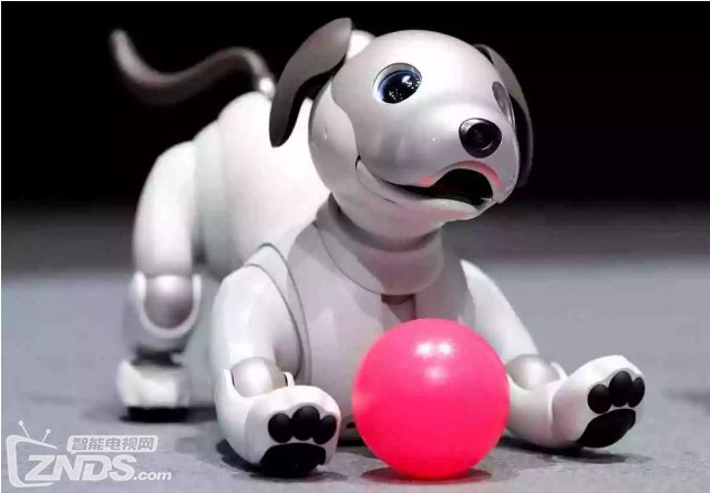 索尼Aibo机器人狗又回来了，带着圆溜大眼和AI技术