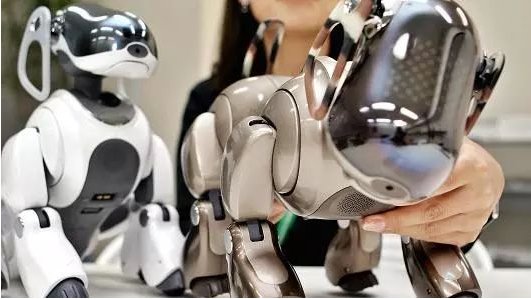索尼Aibo机器人狗又回来了，带着圆溜大眼和AI技术