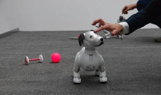 索尼aibo机器狗再度亮相2018CES 售价高达1.14万元
