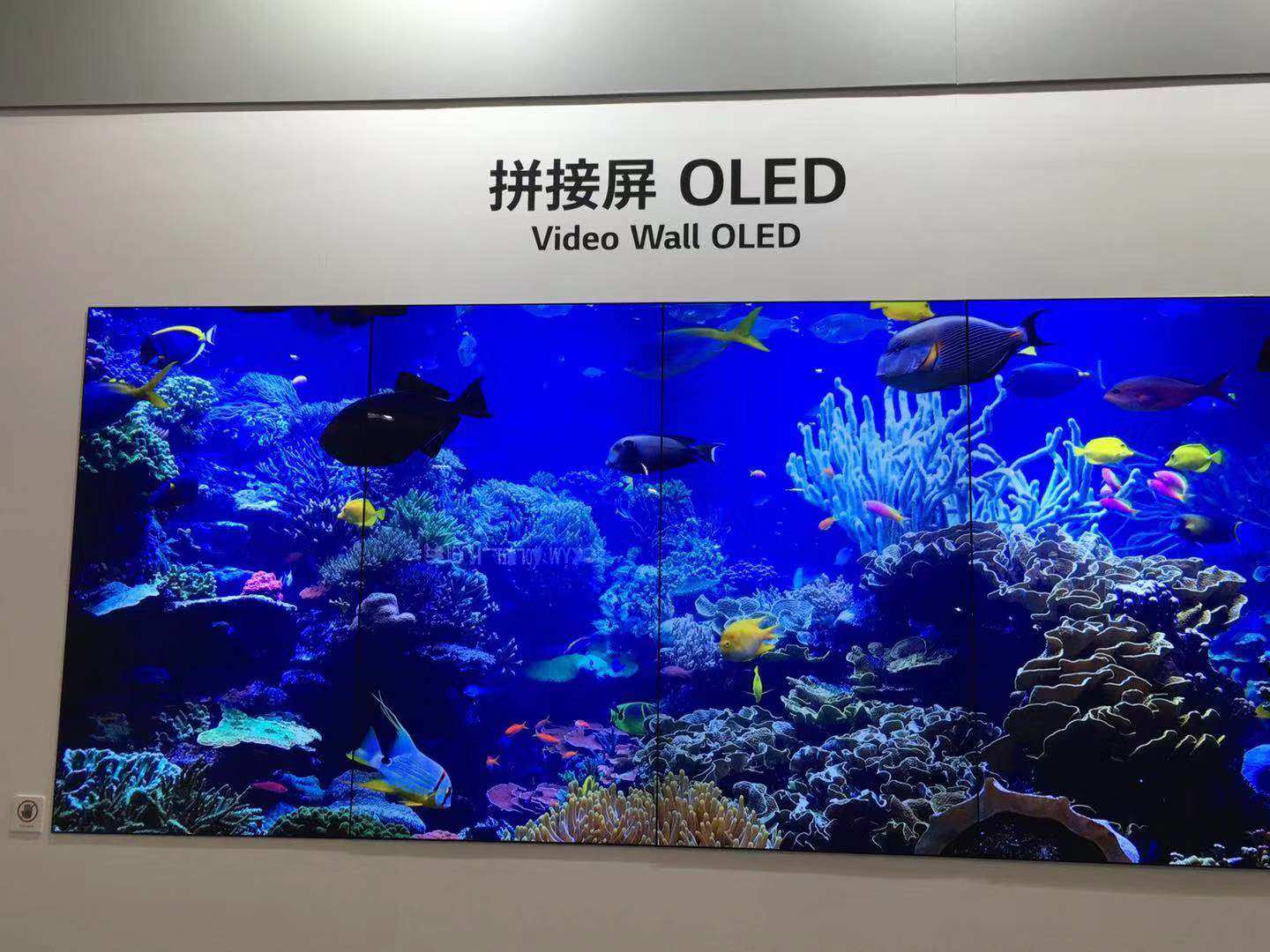 大尺寸OLED面板投资大幅增多 中日韩OLED竞赛也将进入新阶段