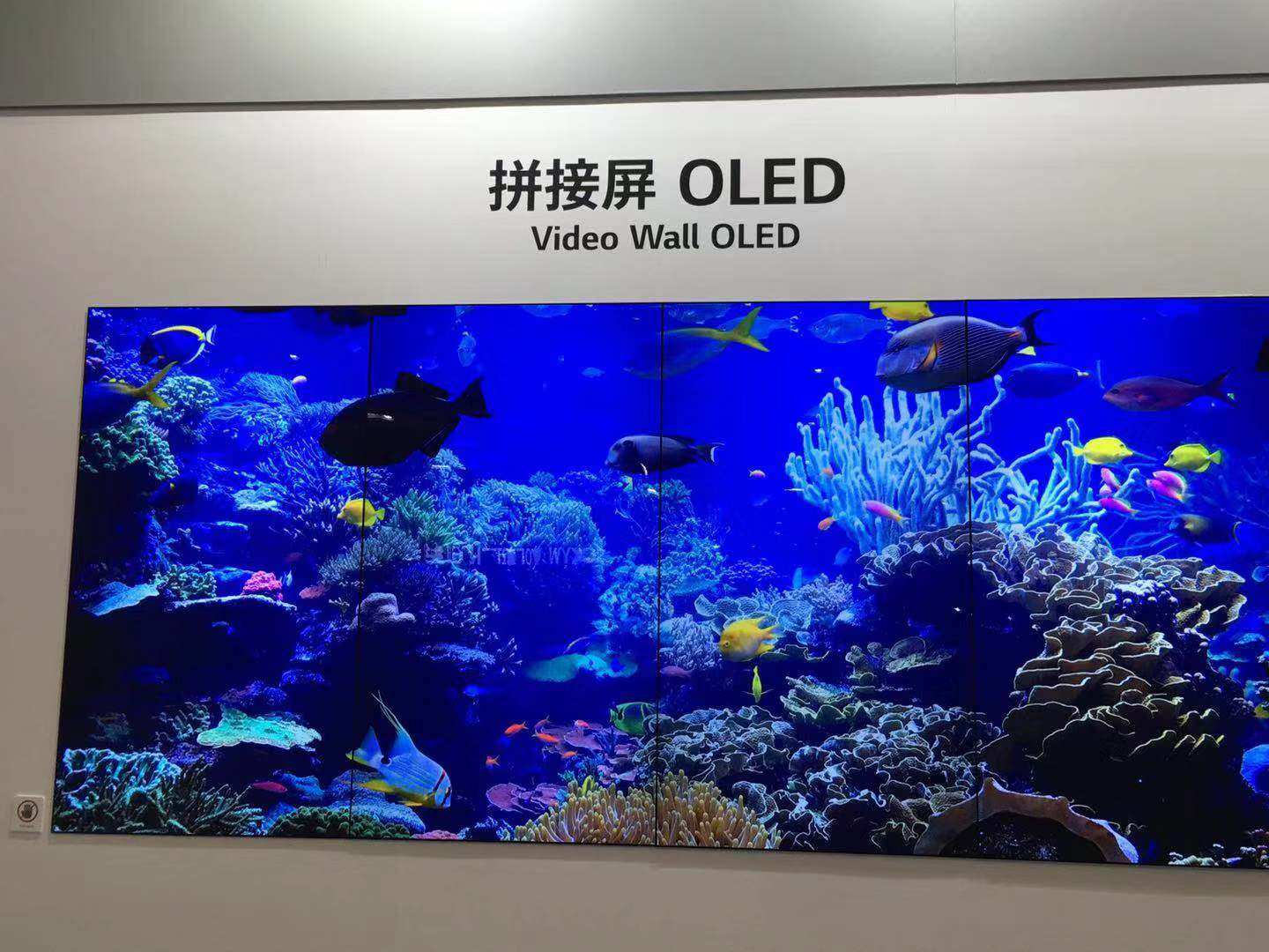 大尺寸OLED面板投资增多 中日韩OLED竞赛将进入新阶段