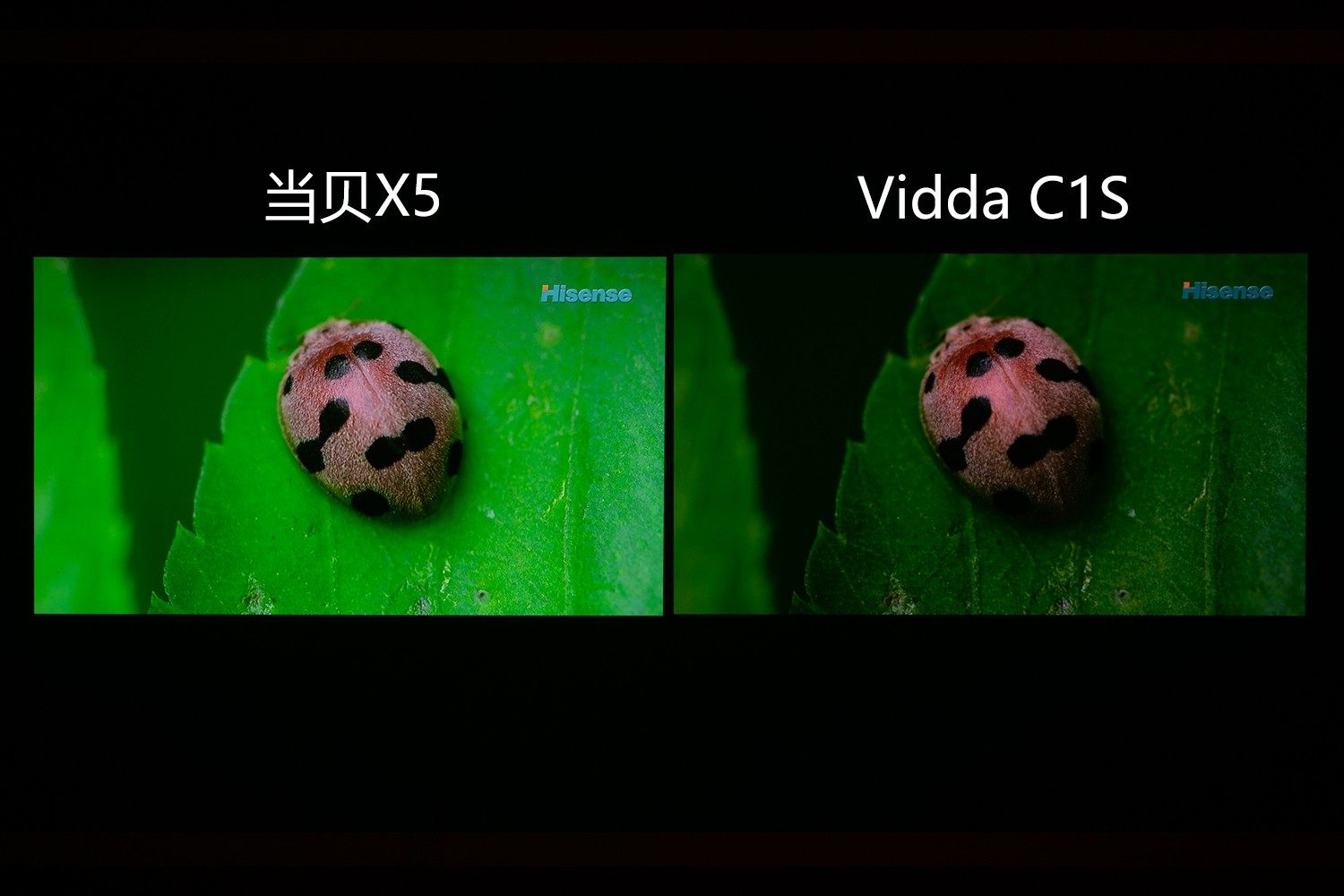 当贝X5对比海信Vidda C1S评测，激光投影哪家好