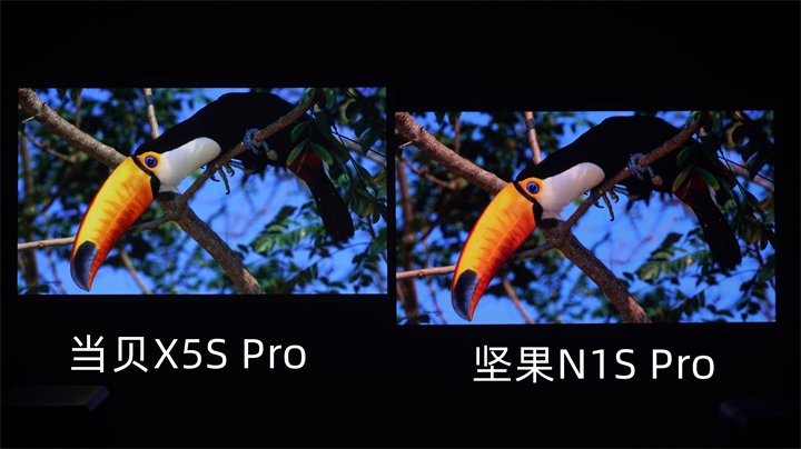 当贝X5S Pro对比坚果N1S Pro动物画面对比