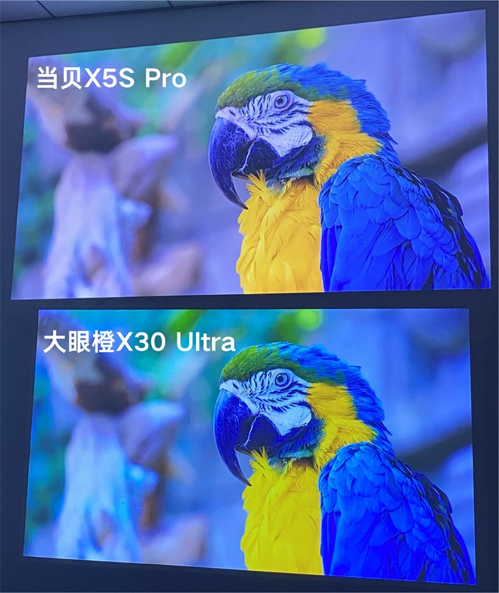 当贝X5S Pro和大眼橙X30 Ultra动物照细节对比