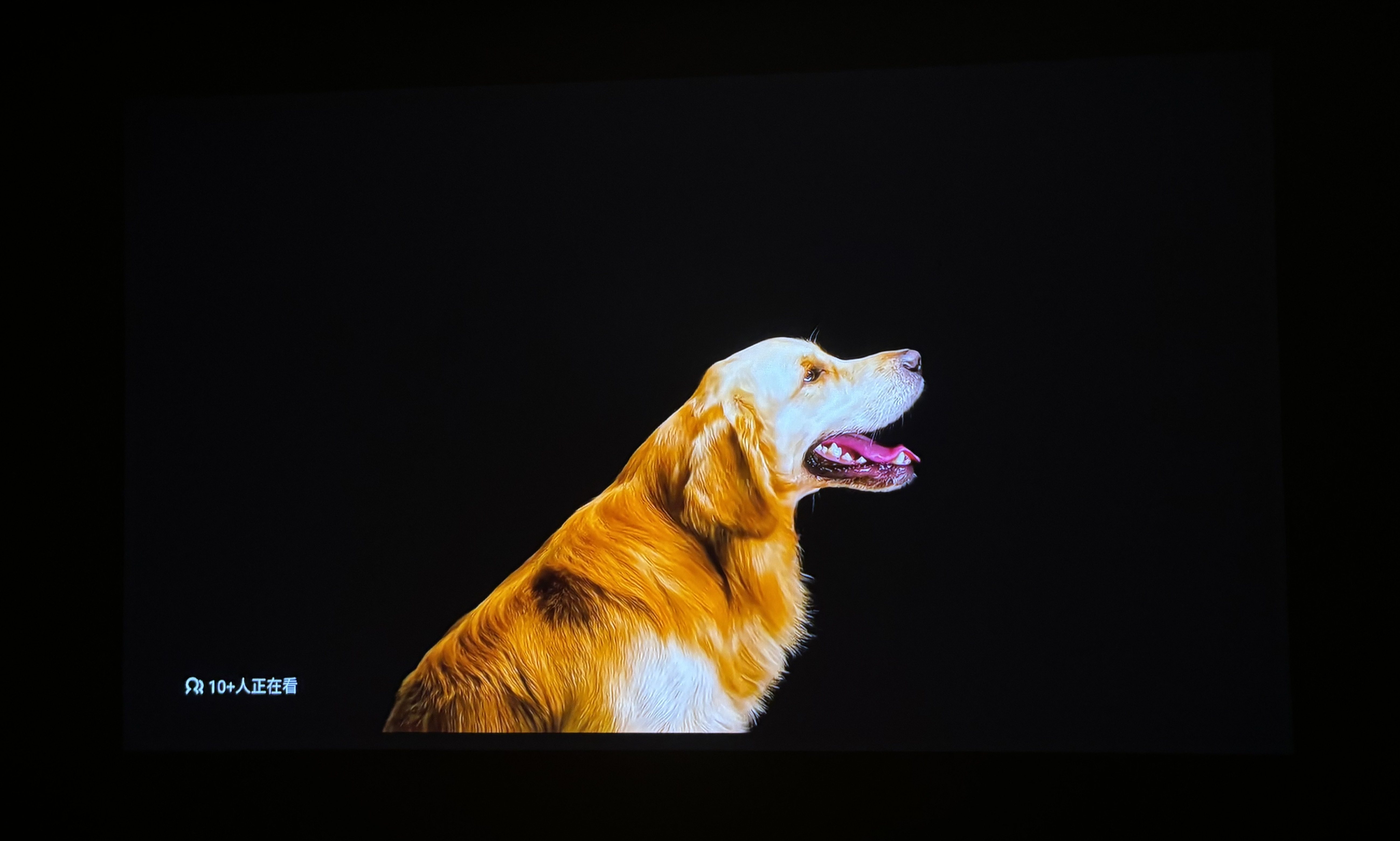 深度测评当贝X5S Max:揭秘4K投影标杆的硬核实力与真实体验 深度测评当贝X5S Max:揭秘4K投影标杆的硬核实力与真实体验