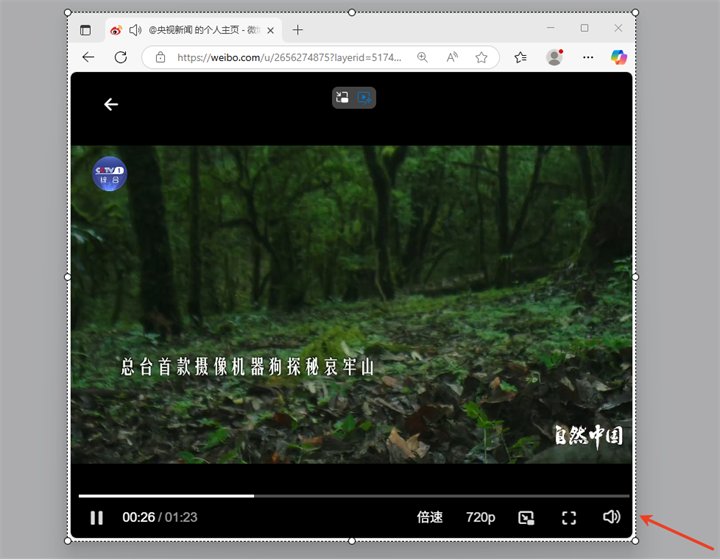 小旺AI截图窗口吸附 小旺AI截图窗口吸附