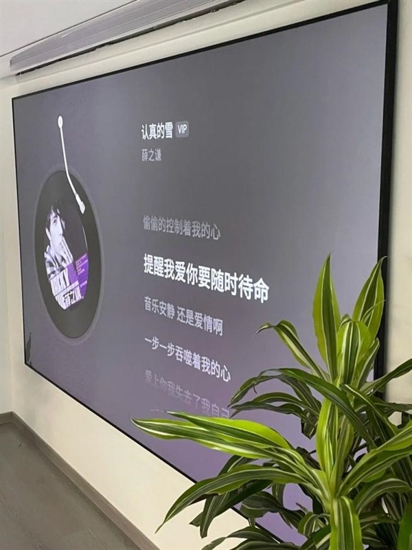 2025五千元投影仪推荐:当贝海信极米哪款值得买?全维度对比 2025五千元投影仪推荐:当贝海信极米哪款值得买?全维度对比