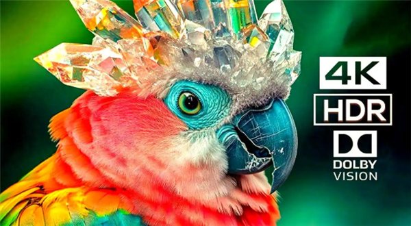 2025杜比视界投影仪选购指南:选对不踩坑,这怕篇文章告诉你值不值 2025杜比视界投影仪选购指南:选对不踩坑,这怕篇文章告诉你值不值