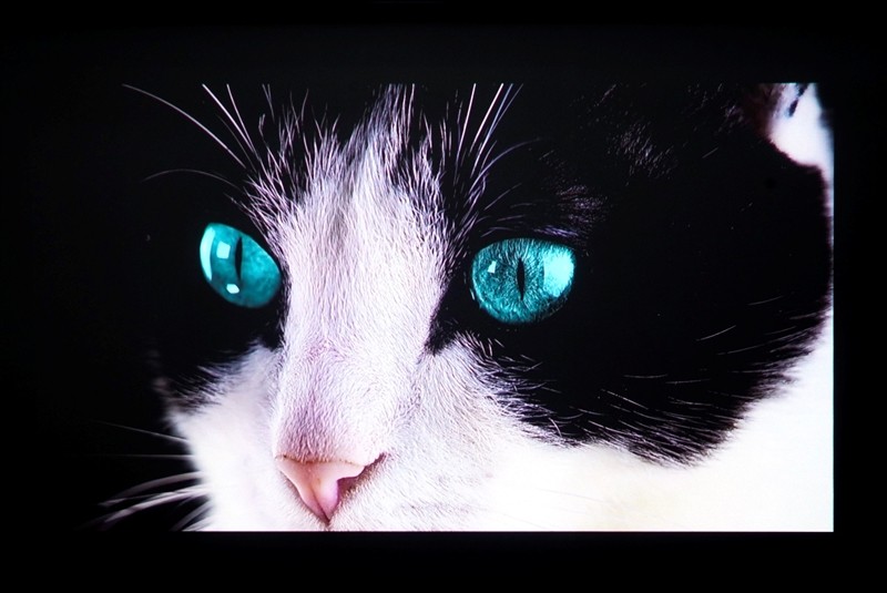 三色激光画质惊人!当贝D7X激光投影仪评测:两千多元即体验旗舰技术 三色激光画质惊人!当贝D7X激光投影仪评测:两千多元即体验旗舰技术