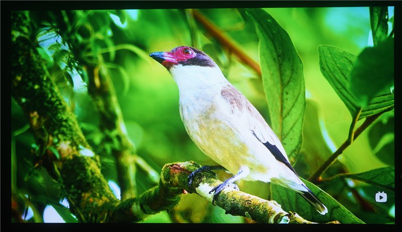 比上代轻了20%!当贝Smart 2 智能投影仪评测:便携画质王者