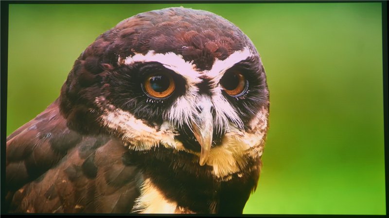 比上代轻了20%!当贝Smart 2 智能投影仪评测:便携画质王者