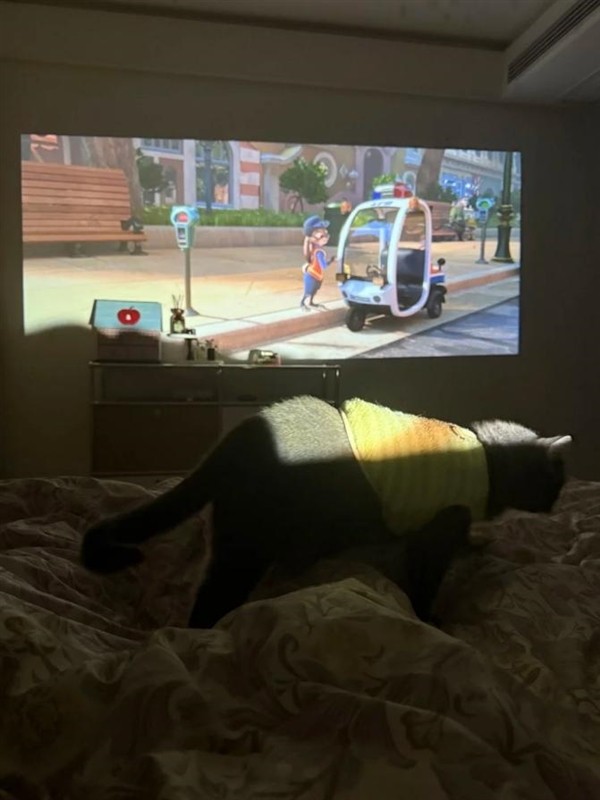 租房投影仪推荐买哪款 当贝D7XPro让租房变温馨小家