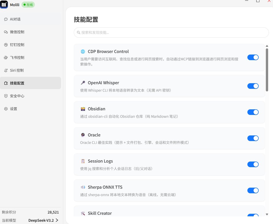 Molili自定义技能配备 Molili自定义技能配备