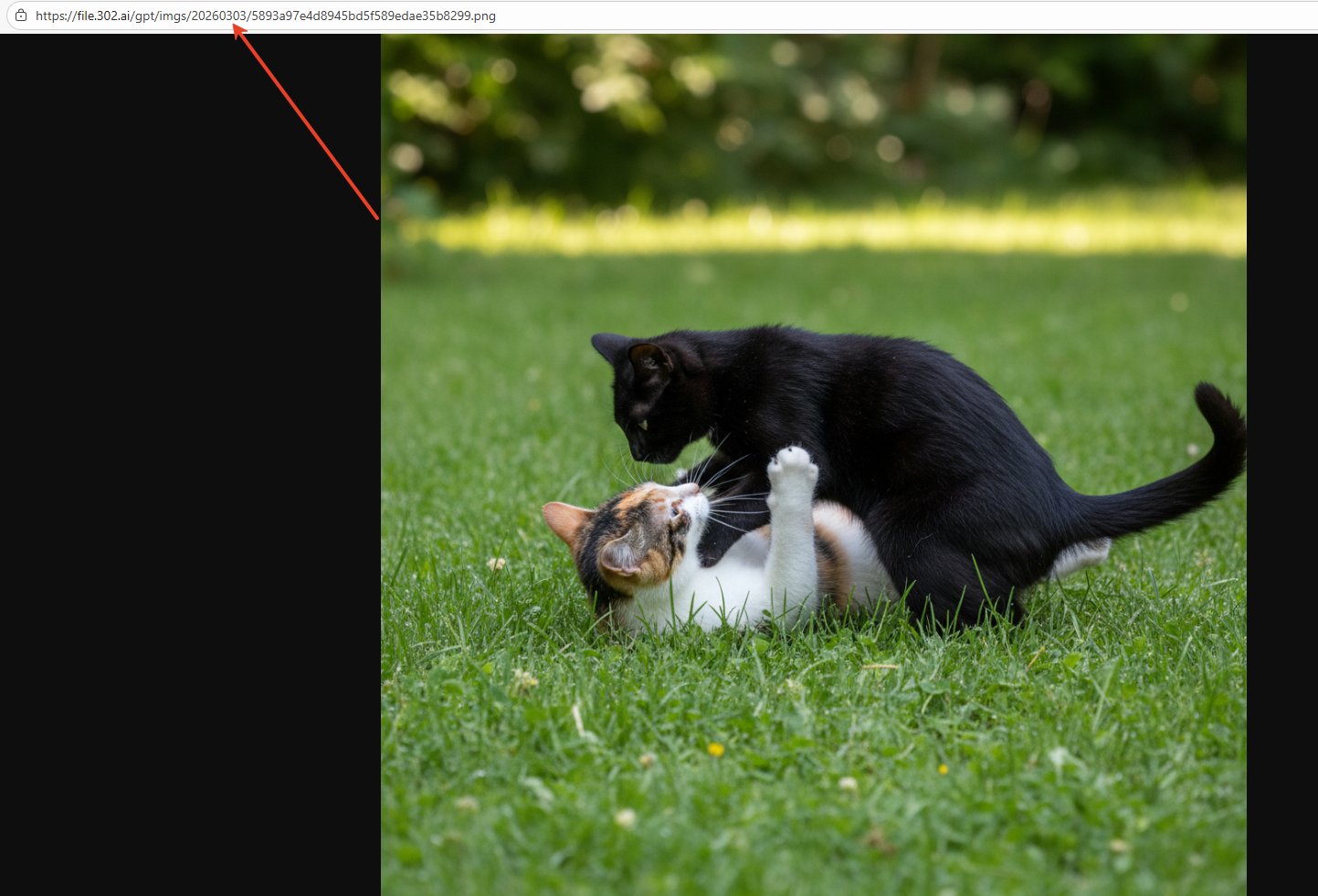 molili接入nano banana2后生成的小猫图片