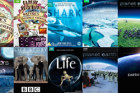 爱奇艺、优酷和微鲸，合力引进英国BBC精品内容