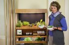 一万七置办个智能菜园子 在家就能享受绿色食材