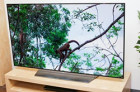 LG 65英寸4K OLED电视新机体验测评 整体性能出色