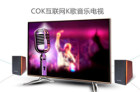 <b>COK与天籁K歌携手推出互联网K歌音乐电视 让客厅秒变KTV</b>