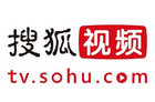 2015年视频网站战略发展布局之搜狐视频与酷6网