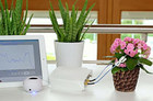 智能产品Phytl Sign：一款翻译植物语的产品