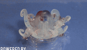 全球首个全软体机器人“Octobot”问世 外形酷似章鱼