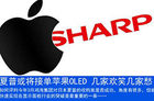 夏普或将接单苹果OLED 几家欢笑几家愁