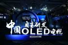期盼多年 OLED电视这只“狼”真要来了