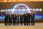 OLED大放异彩 开启显示技术的大航海时代