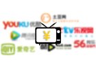 <b>中国网络视频付费市场崛起的背后</b>