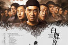 <b>白鹿原：田小娥与五个男人有染，最后却死于非命，值得同情么</b>