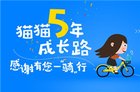 <b>电视猫五周年：初心不改，创新前行</b>