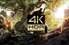 <b>电视盒子“HDR”“4K”都是什么鬼？详解各大解码技术刚需</b>
