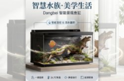 实至名归！当贝智能鱼缸2SUltra荣获天猫宠物年度创新风尚新品奖