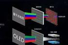 量子点出局？OLED确认成为下一代核心显示技术