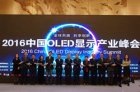 <b>2016中国OLED显示产业峰会在杭州盛大召开</b>