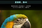 <b>夏普推多款智能语音电视新品 迎合人工智能趋势</b>