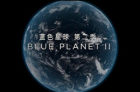 《蓝色星球2》豆瓣9.9分 腾讯视频或将成为“纪录片第一平台”