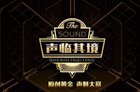 《声临其境》：继《演员的诞生》又一档“配音演员的诞生”
