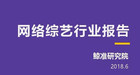 <b>2018网络综艺行业报告发布：四大主流视频网站差异化发展</b>