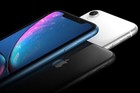 iPhone XR十月出货量预计将达2000万台：中国区需求最大