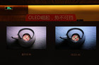 <b>OLED阵营持续扩张 中国市场潜力巨大</b>