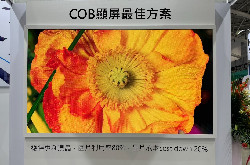 多个Micro LED透明屏亮相Touch Taiwan