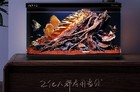 当贝鱼缸买回去是裸缸吗?当贝鱼缸能开箱即用吗？
