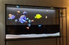 LG 透明电视 Signature OLED T 上市:售价59999美元