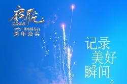 2024-2025网站及各大卫视跨年晚会节