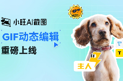 一键生成gif动图，gif制作工具免费