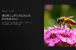 iMini接入谷歌VEO3.1：AI视频与图片创作迎来跨模态革新