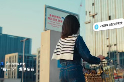 支付宝与小米联手，小米智能眼镜新增智能停车缴费等功能